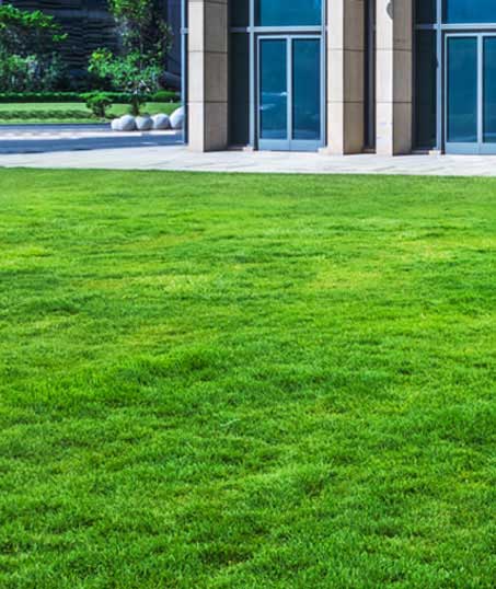 Cut Ups Lawn Service Inc Aeration