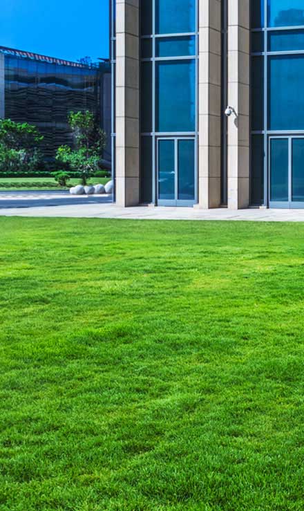 Cut Ups Lawn Service Inc Aeration