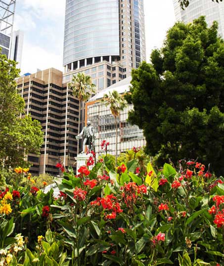 Cut Ups Lawn Service Inc Stump Removal Services