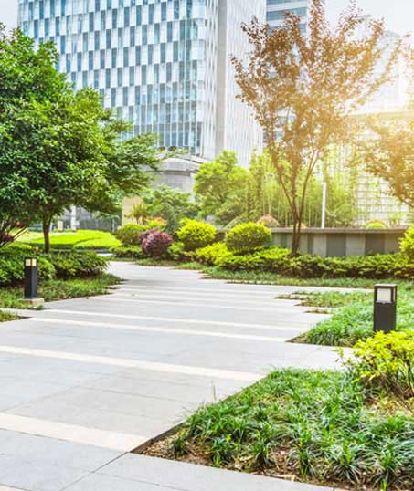 Cut Ups Lawn Service Inc Commercial Landscaping