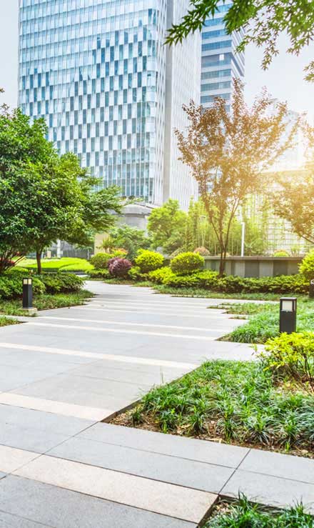 Cut Ups Lawn Service Inc Commercial Landscaping