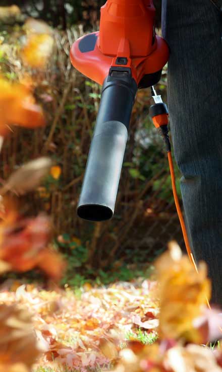 Cut Ups Lawn Service Inc Leaf Removal