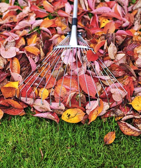 Cut Ups Lawn Service Inc Fall Clean Up