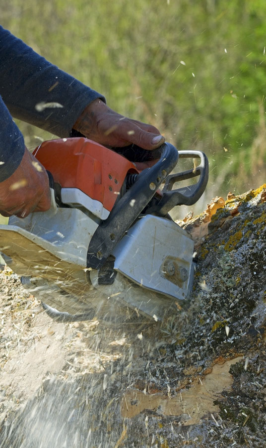 Cut Ups Lawn Service Inc Stump Removal Services